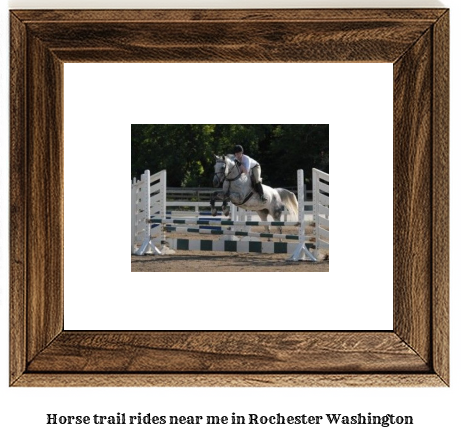 horse trail rides near me in Rochester, Washington